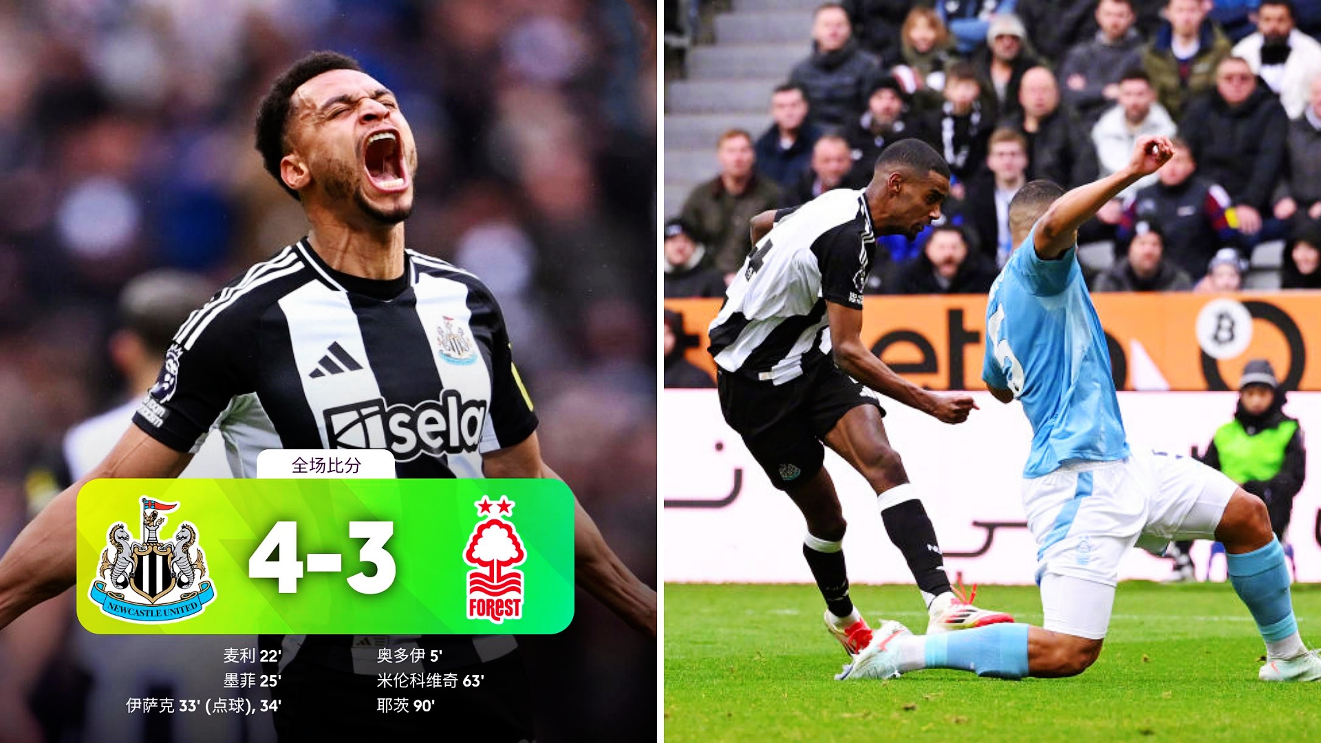 包含纽卡斯尔胜负在今晚，对手防守力量如何？的词条